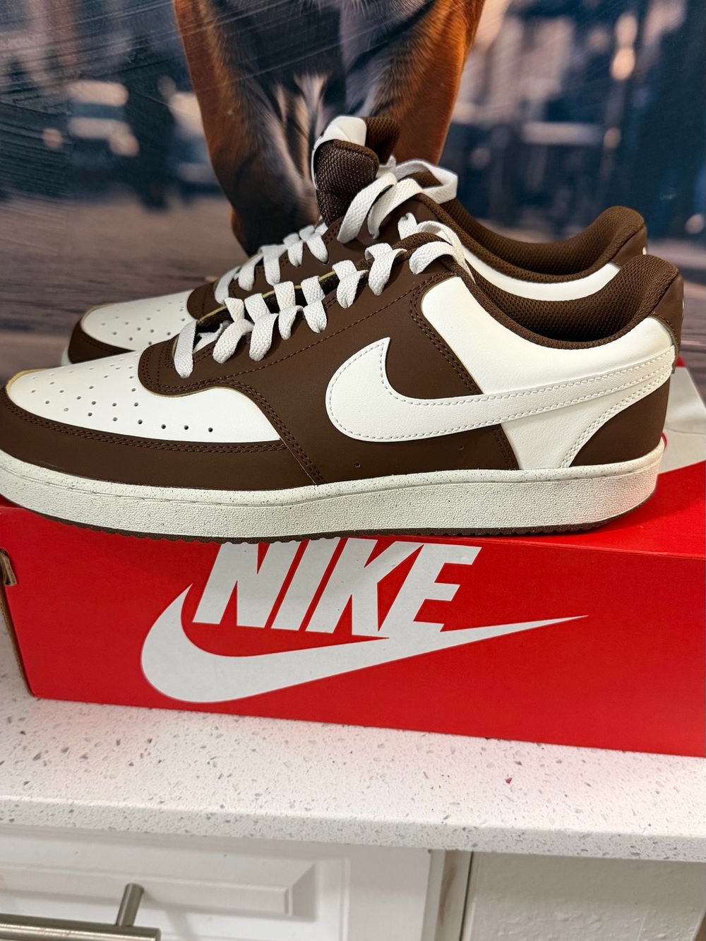 Nike Low-Top Sneakers in Brown and White